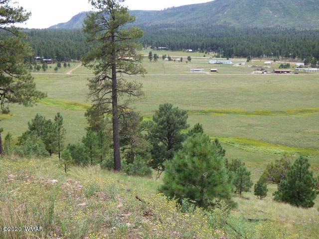 Lot 10 The Ranch at Alpine