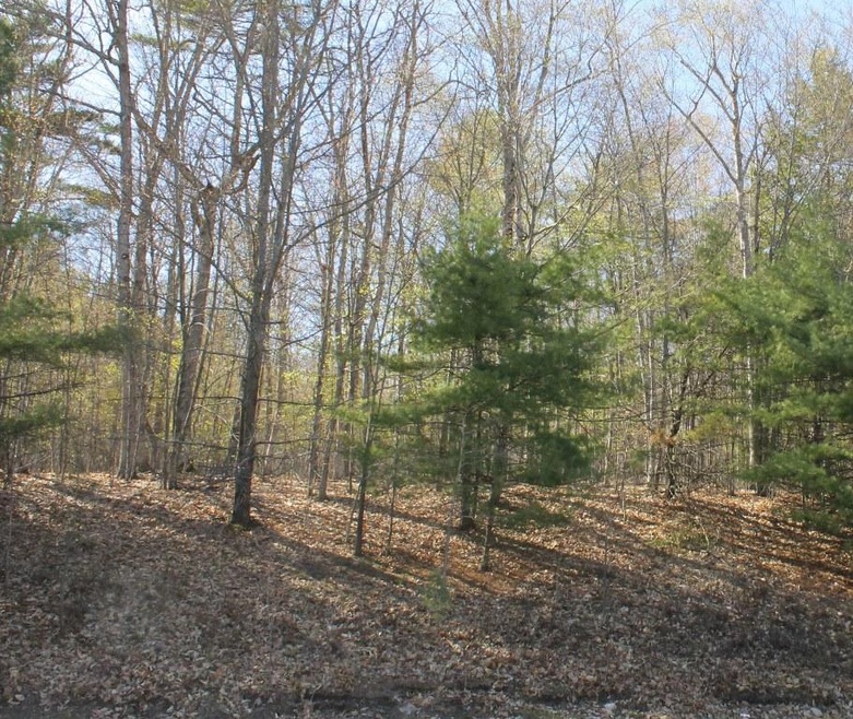 Lot 31-C Meadow Rd