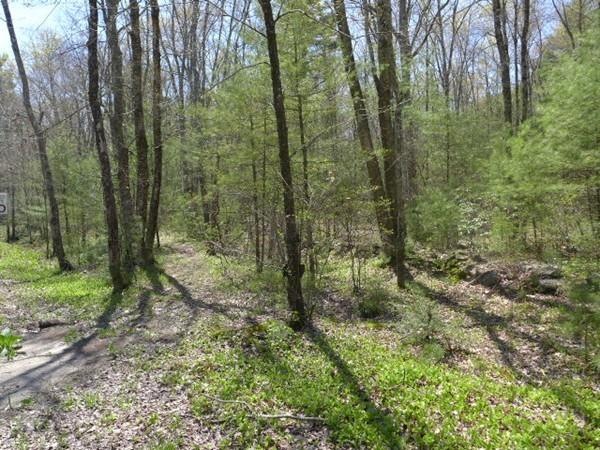 TBD Cedar Swamp Rd, Monson, MA 01057 - photo 1