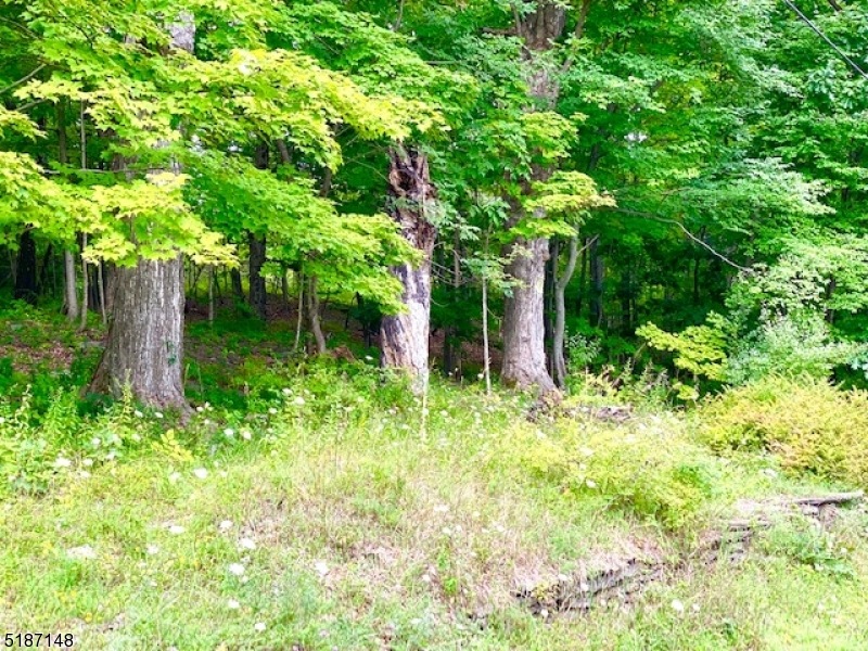 Lot 5 Mount Salem Rd, Sussex, NJ 07461 - photo 1