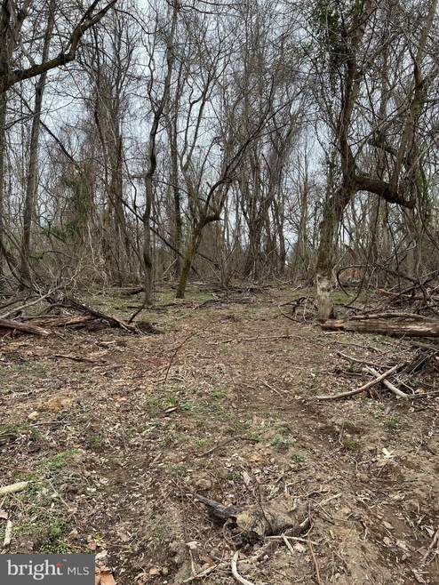 0 Briar Trail unit WVJF2002824, Harpers Ferry, WV 25425 - photo 1