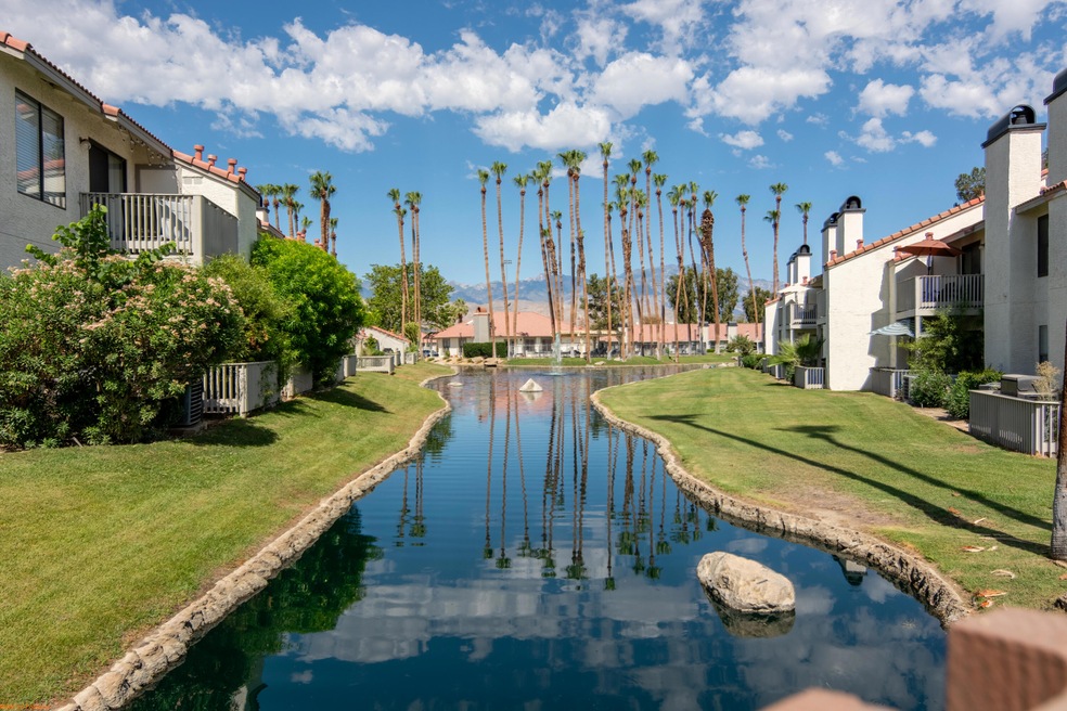 View From Patio