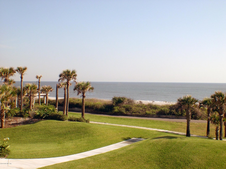 sample turtle dunes view