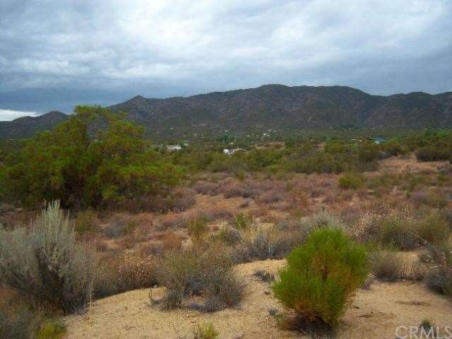 Looking East from edge of potential homesite