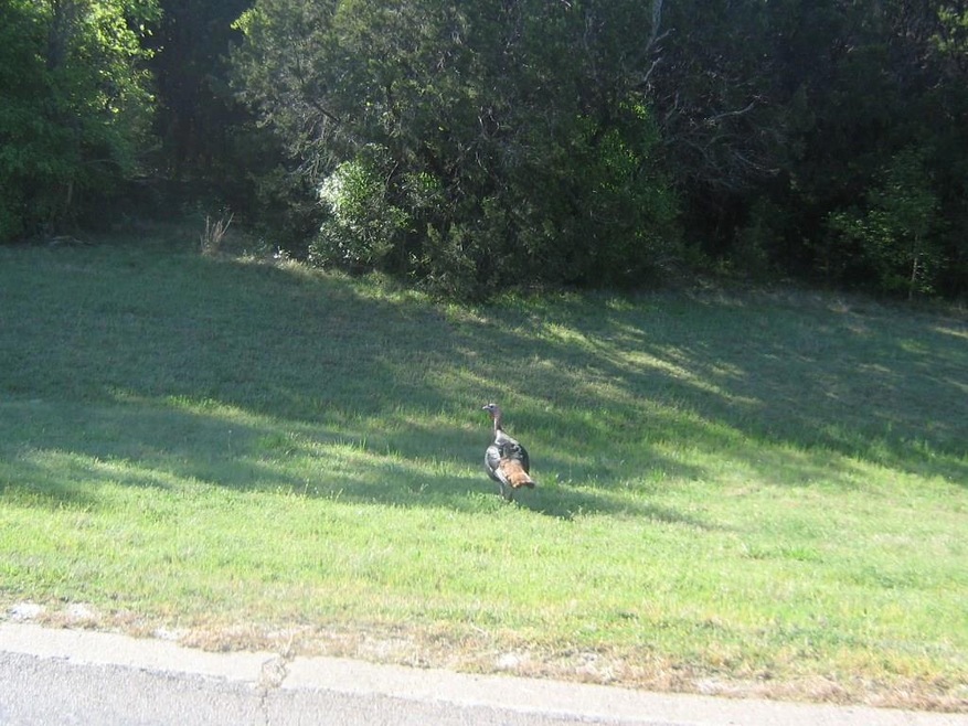 12112 Oak Dale Dr, Whitney, TX 76692 - photo 1