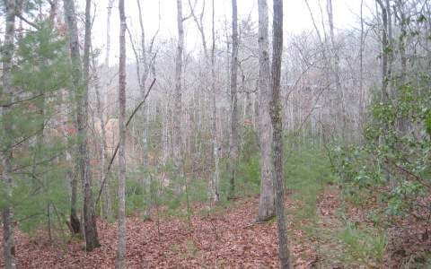 LT 3 Hillbilly Hollow, Blue Ridge, GA 30513 - photo 1