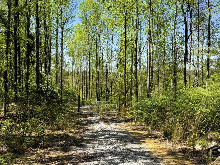 Sold $125,000 • Co-Listing Agent