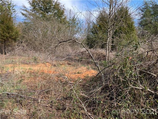 000 Twin Oaks Rd, Statesville, NC 28625 - photo 1