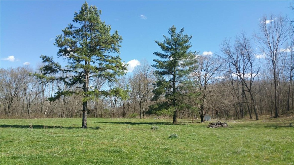 Bottom field
