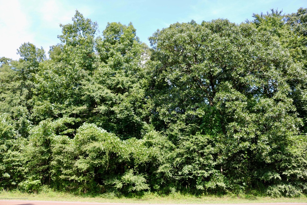 14.5+/- Acres Getwell Road