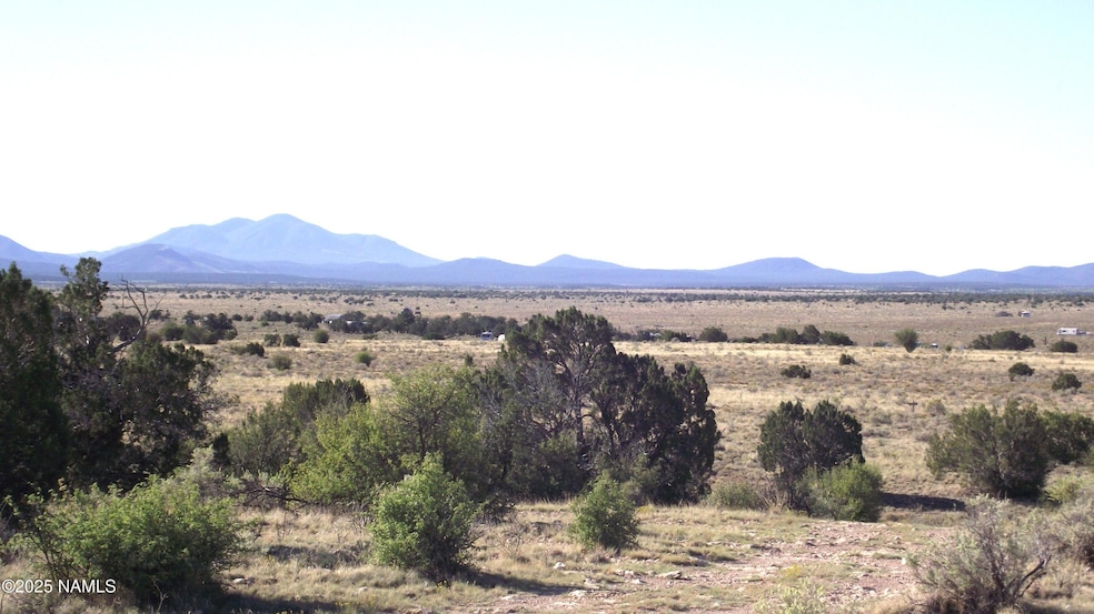 2978 S Lowell Dr, Valle, AZ 86046 - photo 1