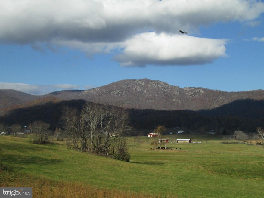 0 Etlan Rd unit 1003267170, Etlan, VA 22719 - photo 1