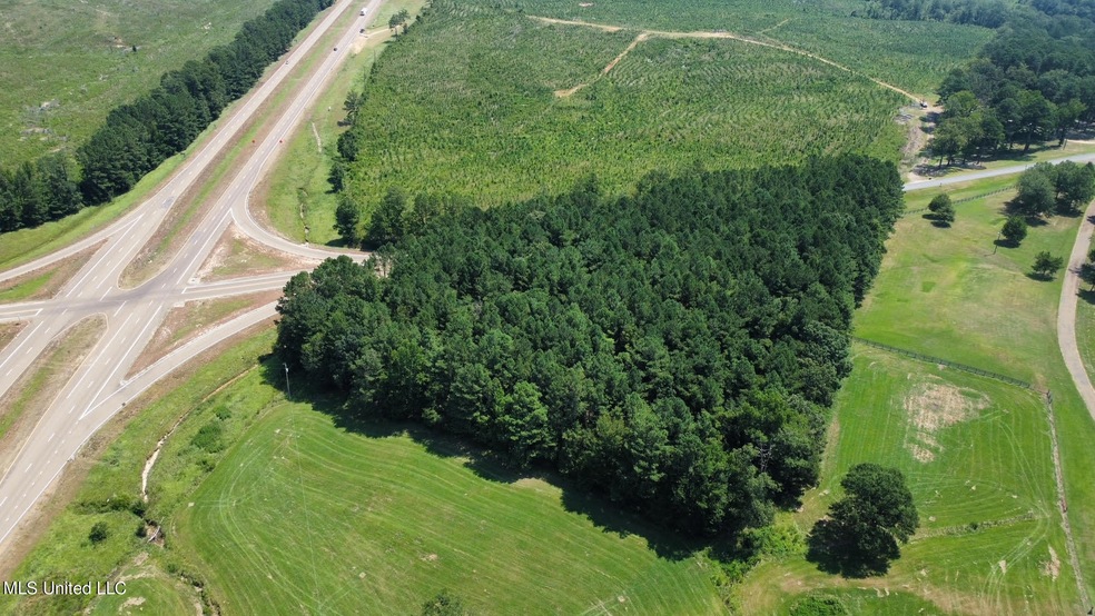 0 Red Dog Rd Unit 4055423, Carthage, MS 39051 MLS 4055423