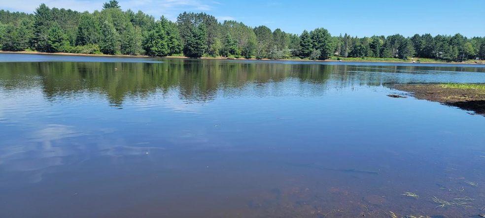 Lot 1 Silver Birch Rd, Tomahawk, WI 54487 - photo 1