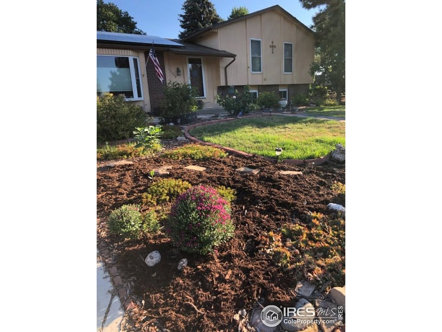 13049 Steele Dr, Thornton, CO 80241 - photo 1