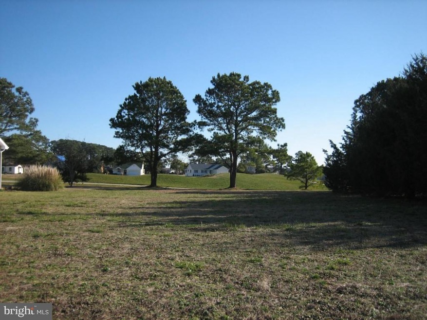 2-267 Navigator Dr, Greenbackville, VA 23356 - photo 1