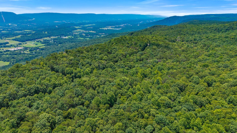 41.04 Acres