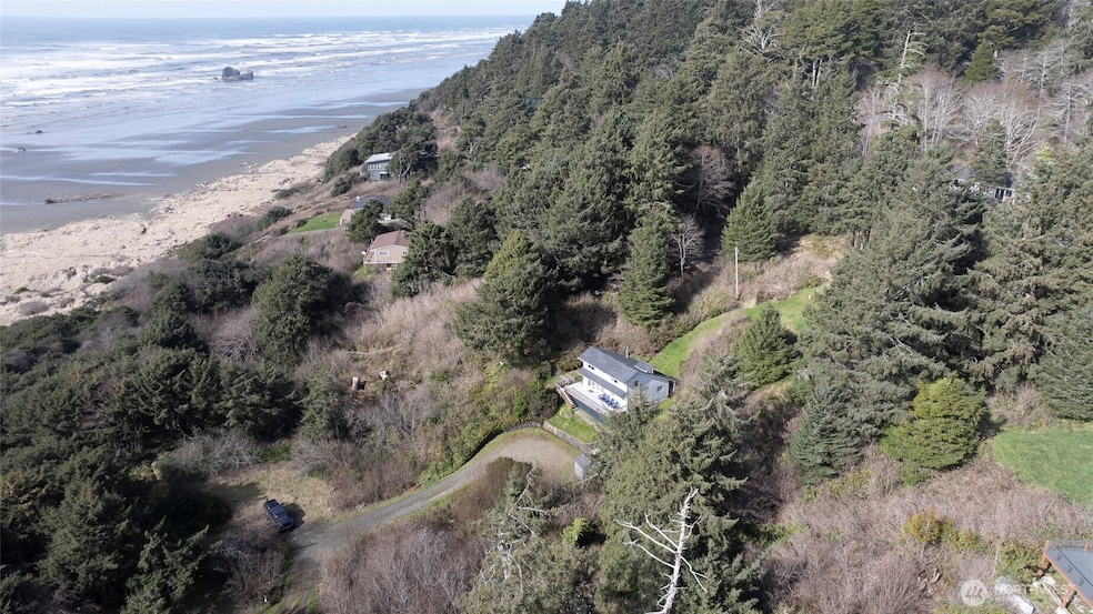 54 S Copalis Rock Ln, Copalis Beach, WA 98535 - photo 1