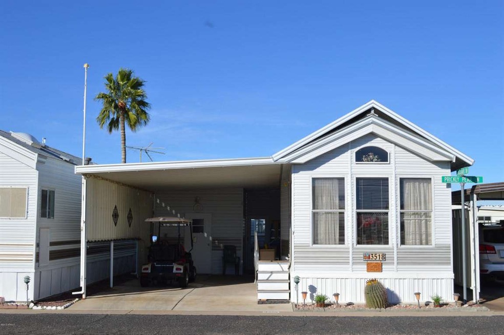 3518 Prickley Pear 002
