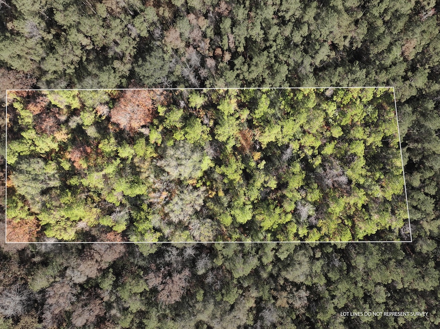 Old_Hwy_24_W_Lot_31-1