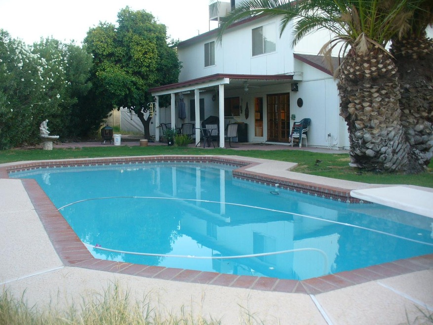 Back yard/pool