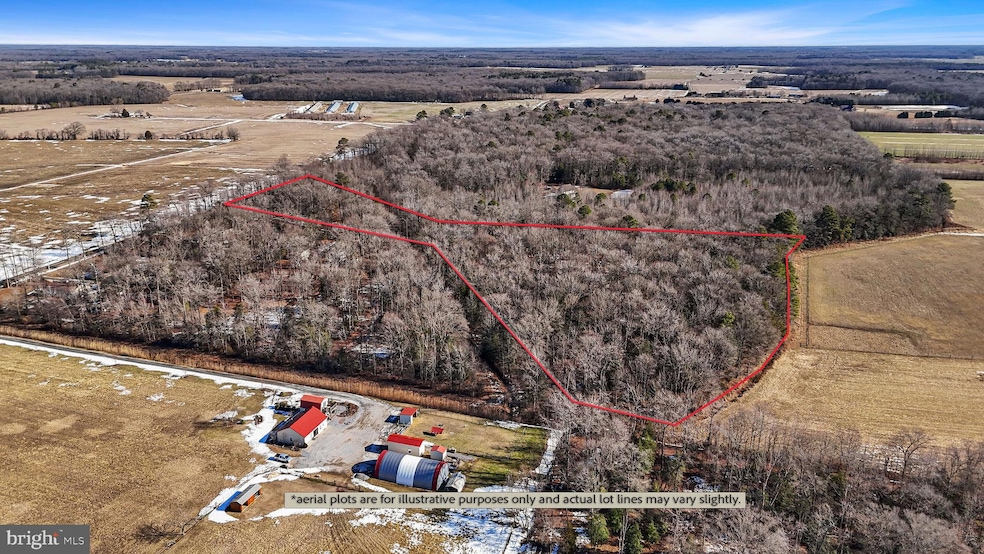 696 Spectrum Farms Rd, Felton, DE 19943 - photo 1