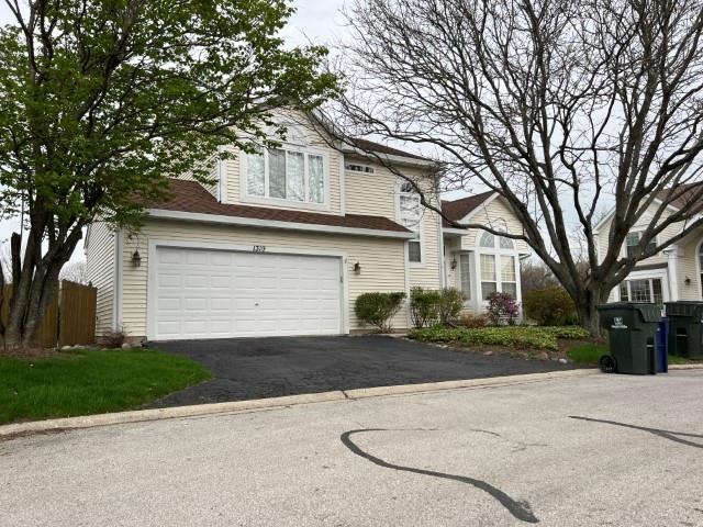 1319 Lazy Hollow Ct, Naperville, IL 60565 - photo 1