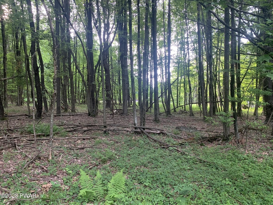 0 Rosengrant Rd, Lake Ariel, PA 18436 - photo 1