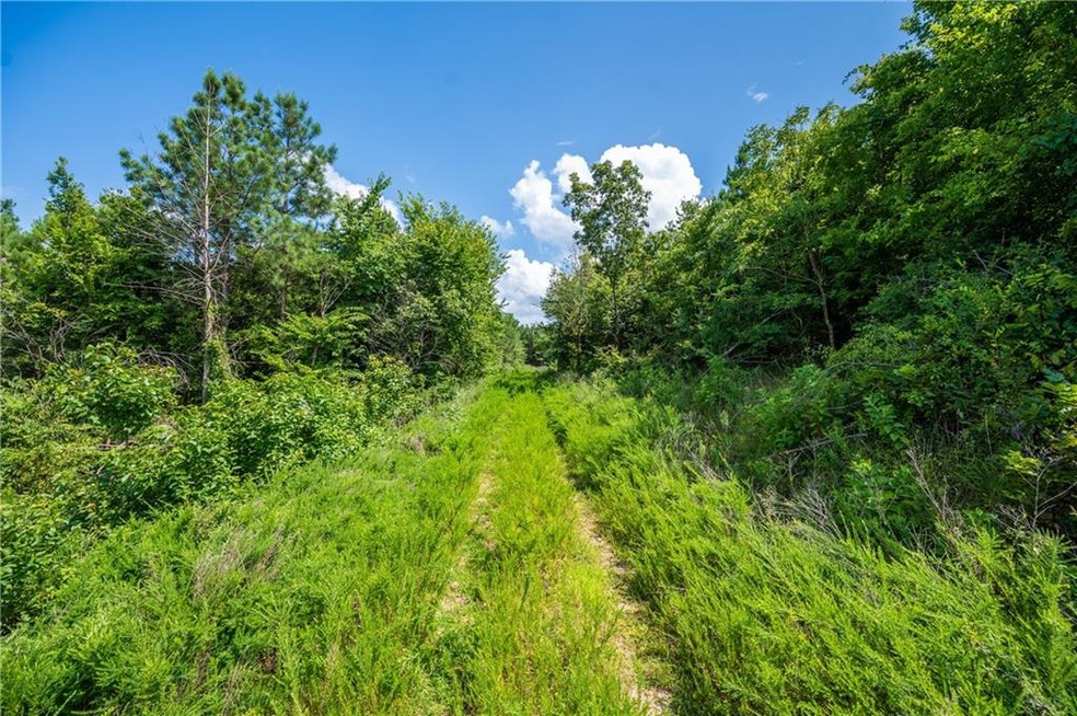 0 Lot 65 Crooked Stick Trail unit 968692, Broken Bow, OK 74728 - photo 1