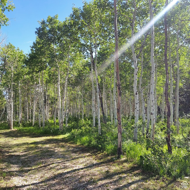 1 E Powder Mtn Cir unit 22, Spanish Fork, UT 84660 - photo 1