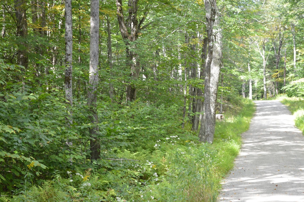 Berkshire Land