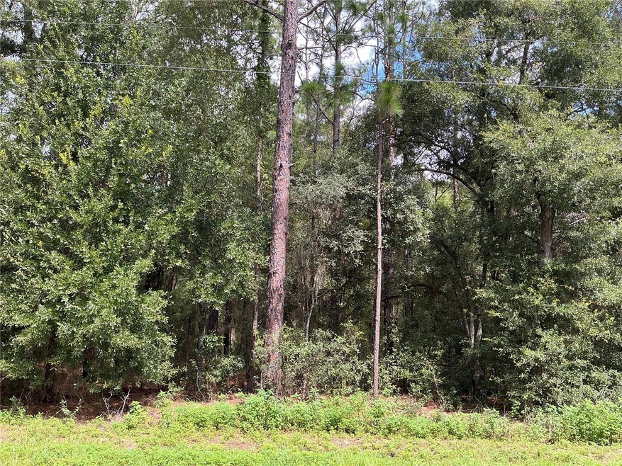 0 SW 202nd Ct unit MFROM684999, Dunnellon, FL 34431 - photo 1