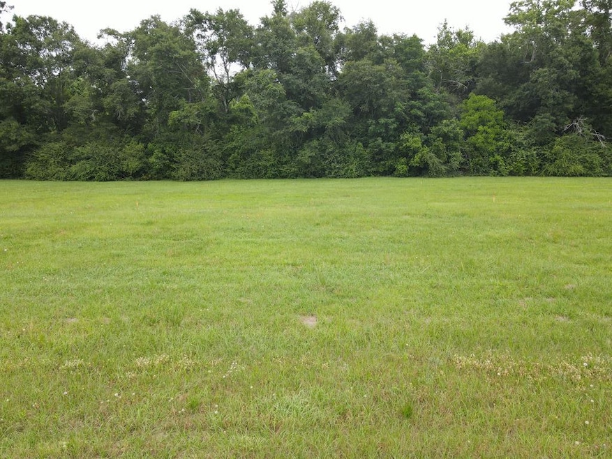 Lot # 7 Oak Bend Subdivision, Cairo, GA 39828 - photo 1