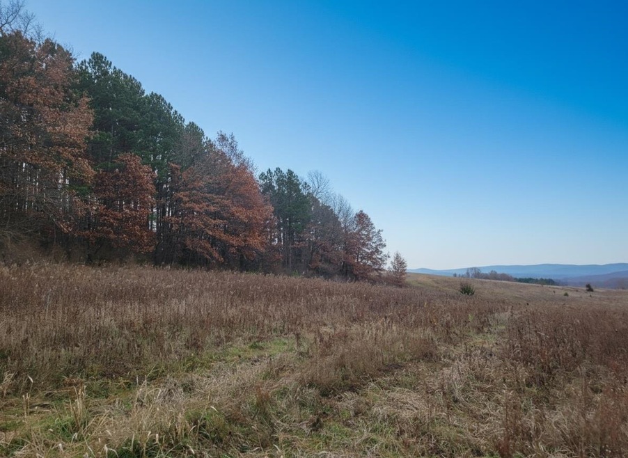 70 acres Hwy 78, Merrimac, WI 53561 - photo 1