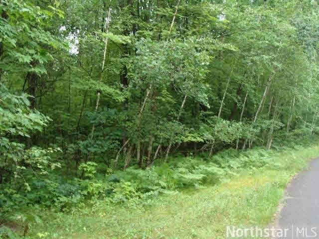 0 Spotted Fawn Rd unit 4591528, Danbury, WI 54830 - photo 1