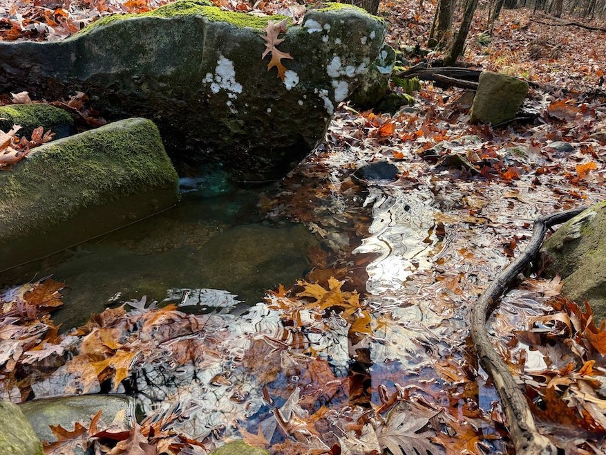 0 Cr 961 Rd unit 25667345, Green Forest, AR 72638 - photo 1