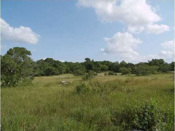 Land/Lot