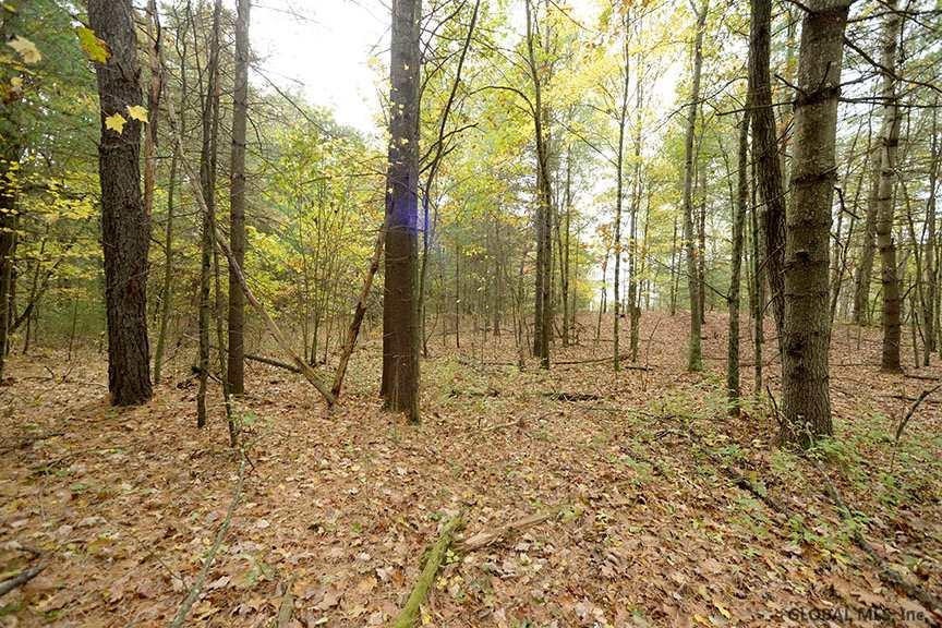 00 West Ln, Wilton, NY 12866 - photo 1
