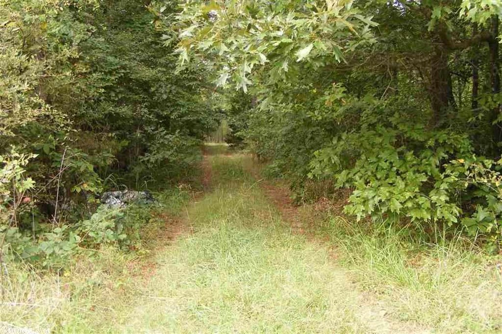 00 Geene Road 624r, Paragould, AR 72450 - photo 1