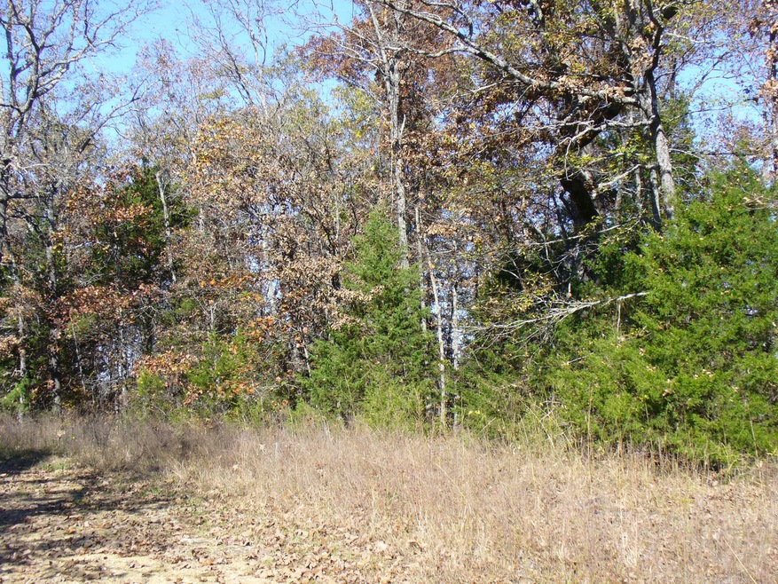 Property on north side of Cedar Oak Dr.