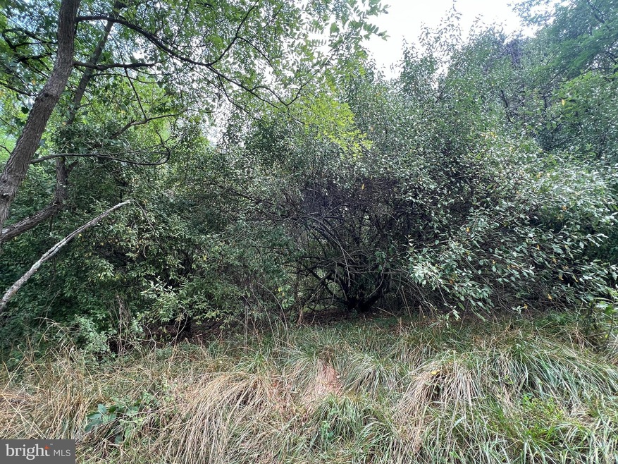 0 Quail Rd unit VASH2006644, Basye, VA 22810 - photo 1