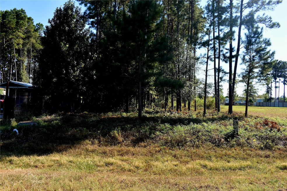 900 County Road 3545, Cleveland, TX 77327 - photo 1