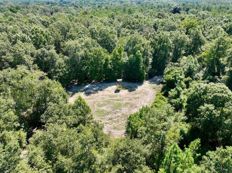 0 Abbeville Hwy, Pineview, GA 31071 - photo 1