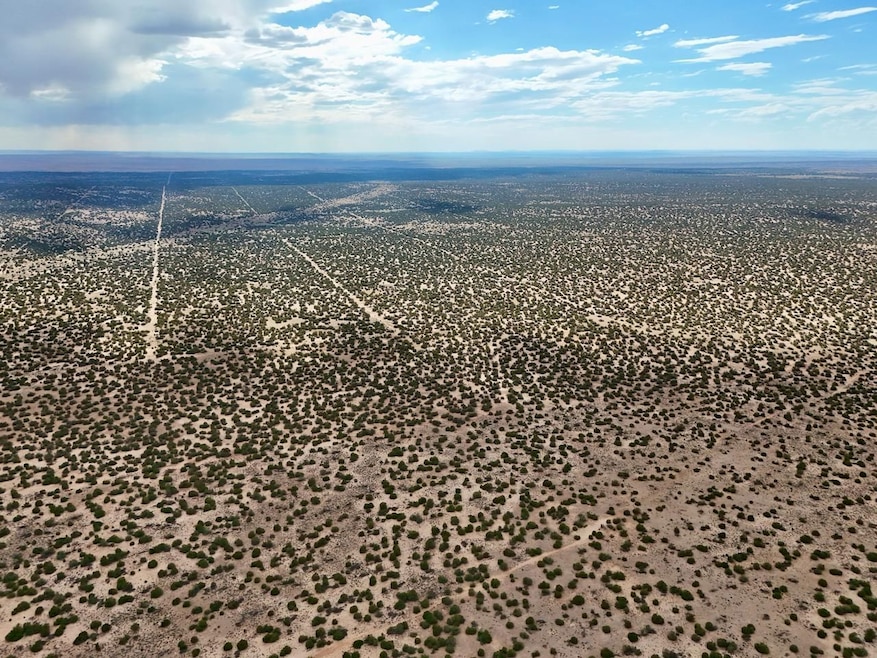 Tbd N7112, Saint Johns, AZ 85936 - photo 1