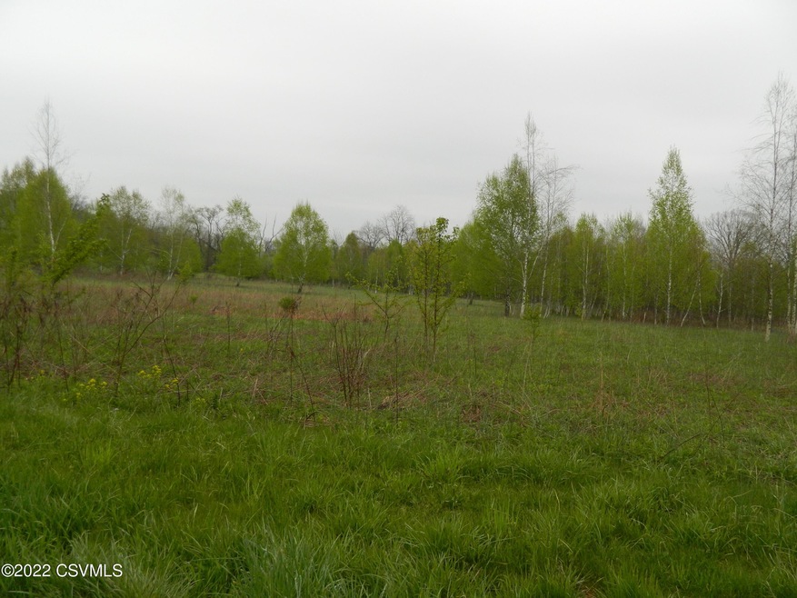 CORNER OF Alexis Drive & Hidlay Church Rd, Bloomsburg, PA 17815 - photo 1