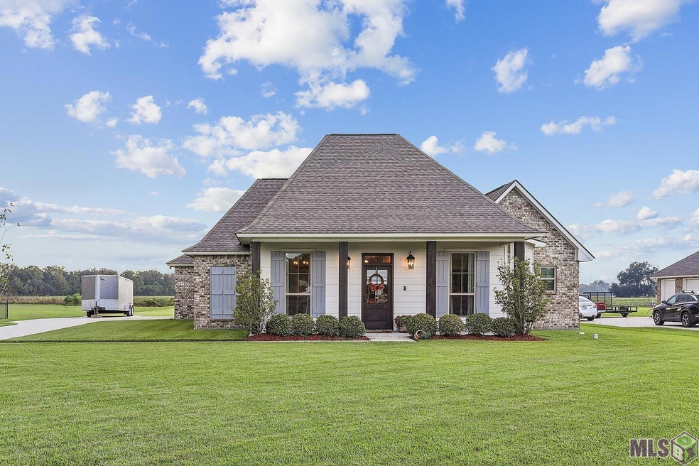 10213 W Robert Wilson Rd, Gonzales, LA 70737 - photo 1