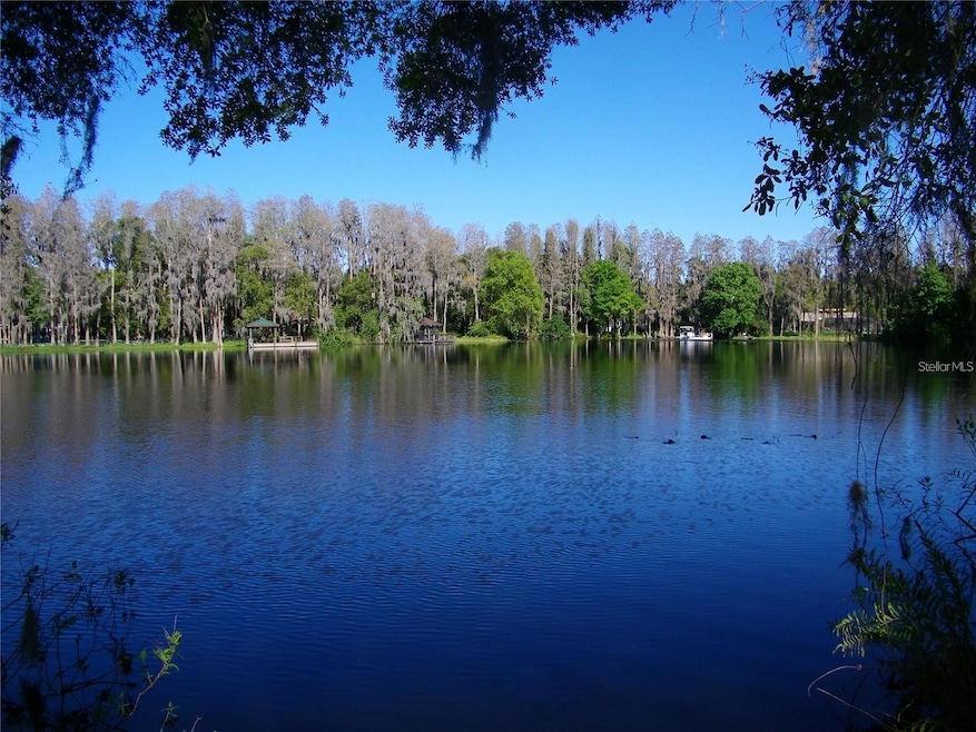 17017 Paula Ln, Lutz, FL 33558 - photo 1