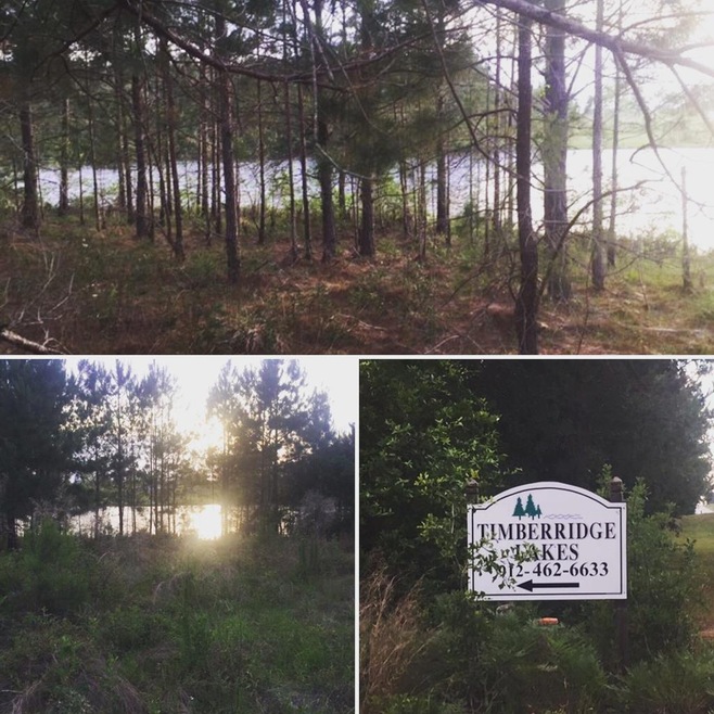 00 High Ridge Rd unit 33, Broxton, GA 31533 - photo 1