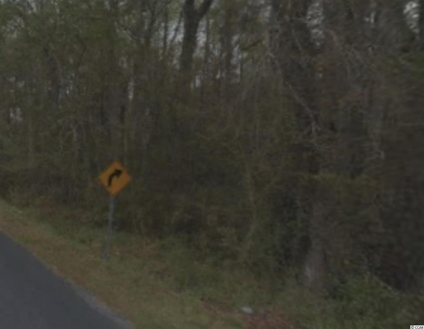 TBD Parcel 1 Highway 668, Conway, SC 29526 - photo 1