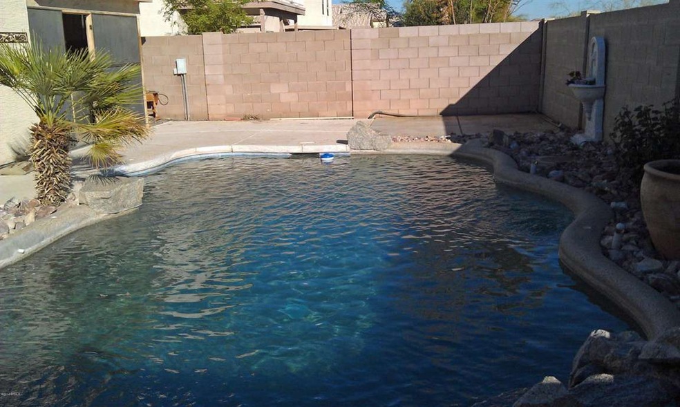 1 Backyard